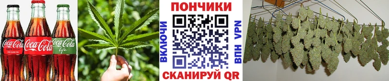 Печенье с ТГК конопля  продажа наркотиков  Ясный 