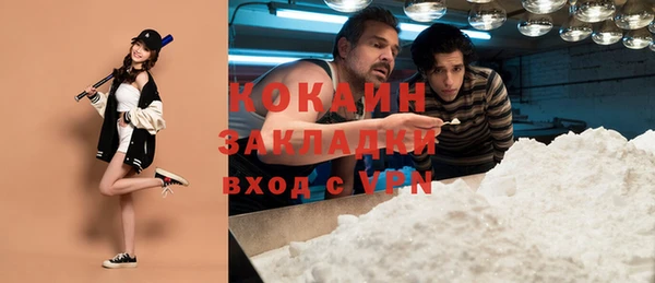 ешки Ладушкин