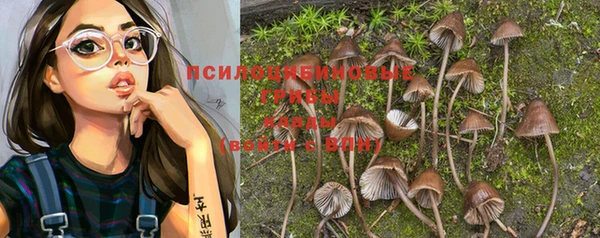 ешки Ладушкин