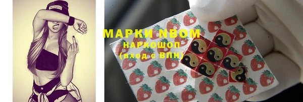 крисы Лабытнанги