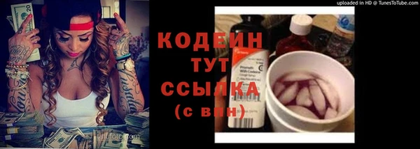 гидра Долгопрудный