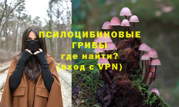 крисы Лабытнанги
